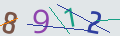 verifycode